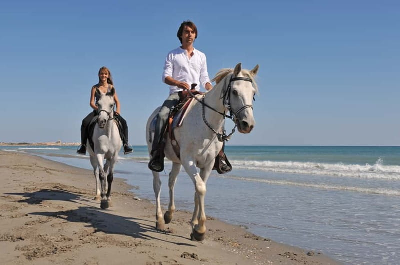 Bodrum: Horseback Riding Experience with Hotel Transfer - Key Points / Takeaways