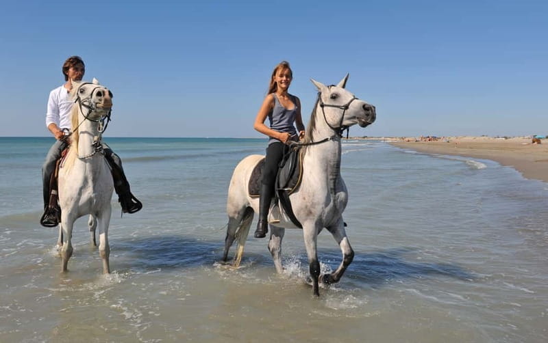 Bodrum: Horseback Riding Experience with Hotel Transfer - Guides and Safety: Making You Feel Secure