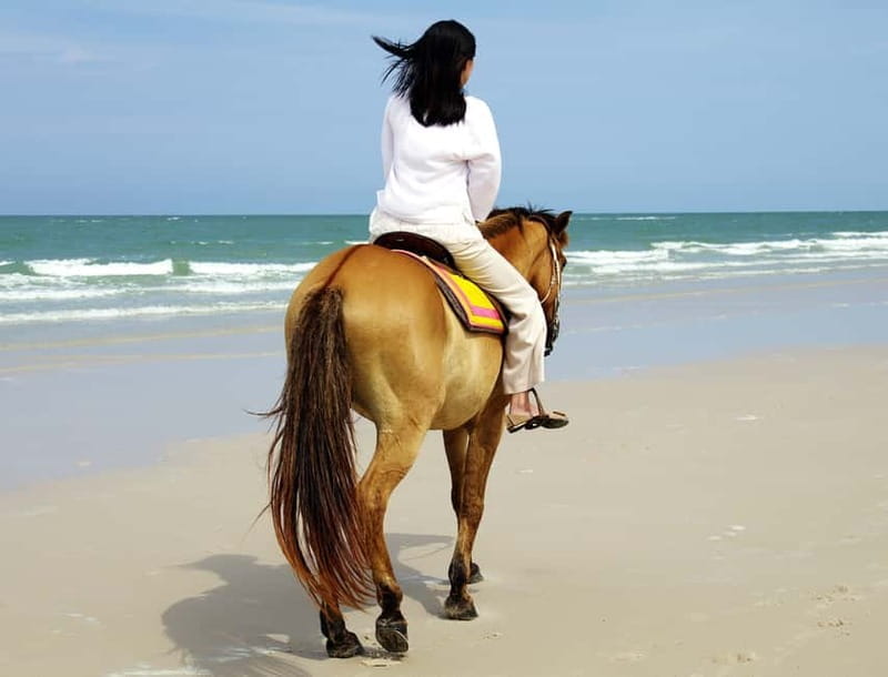 Bodrum: Horseback Riding Experience with Hotel Transfer - FAQ