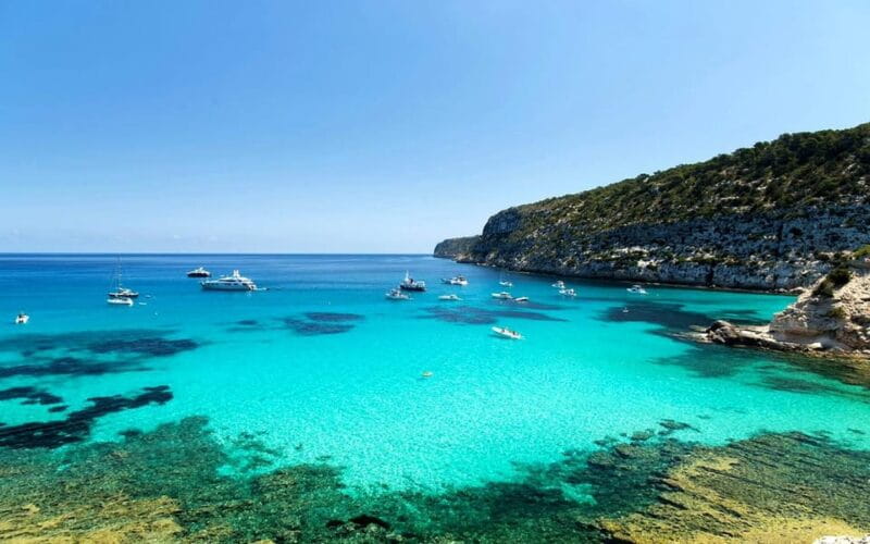 Bodrum: Orak Island Boat Trip with Lunch & Optional Transfer - FAQs