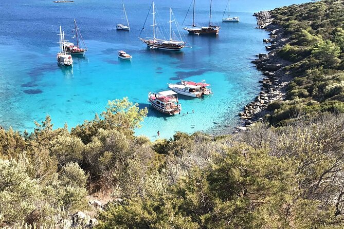 Bodrum Orak Island (Turkish Maldives) Boat Trip - Inclusions and Amenities