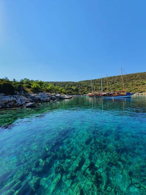 Bodrum: Private Motoryacht Tour with swimming stops & lunch - Key Points / Takeaways