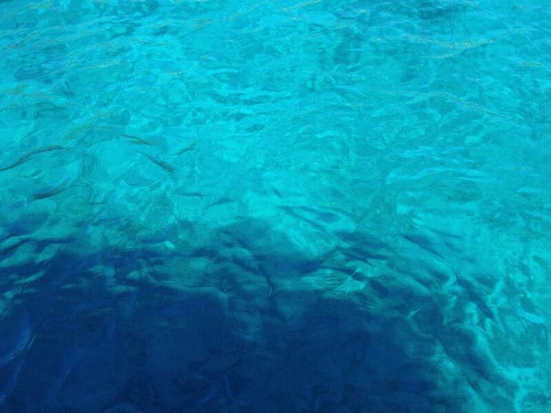 Bodrum: Scuba Diving Trip with Lunch - Key points / Takeaways