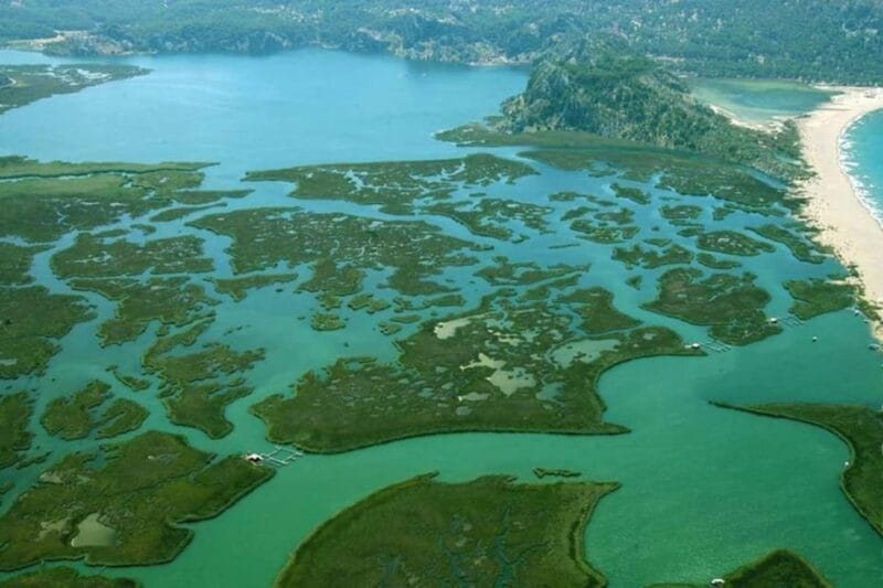 Bodrum to Dalyan Turtle Beach (Caunos) Guided Tour - Why It’s a Great Value