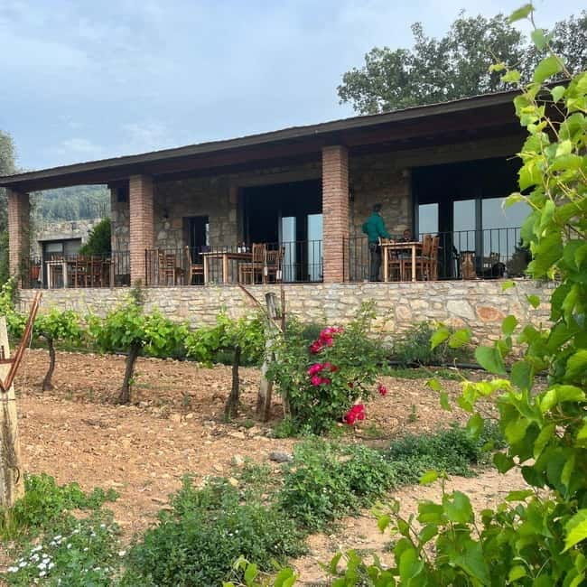 Bodrum Village Charm & Wine Delight Tour - Transport, Timing, and Group Size