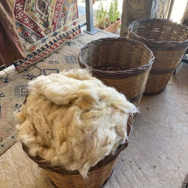 Bodrum Village Charm & Wine Delight Tour - The Sum Up