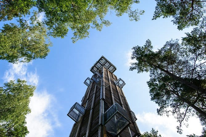 Bogs and Resorts in Jrmala - Kemeri National Park: An 8,000-Year-Old Wilderness