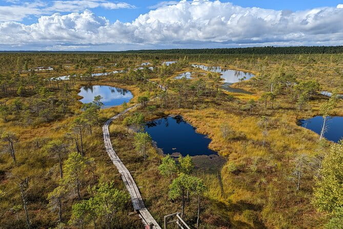 Bogs and Resorts in Jrmala - Who Will Love This Tour?