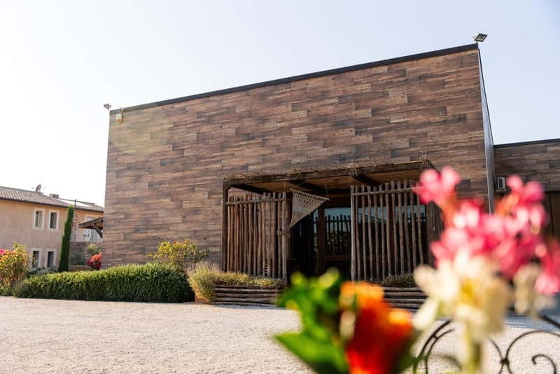 Bolgheri: Tour with wine tasting at Villanoviana - Key points / Takeaways