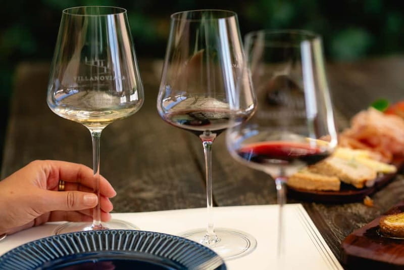 Bolgheri: Tour with wine tasting at Villanoviana - Exploring the Bolgheri Winery Scene