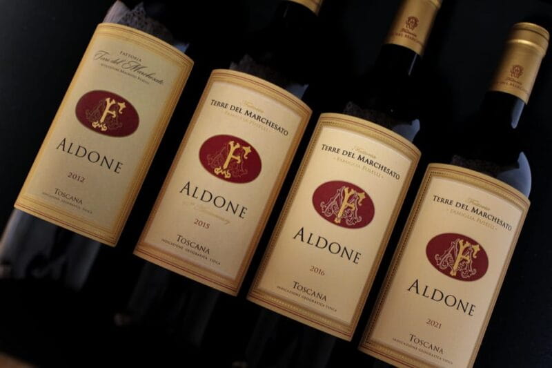 BOLGHERI: Vertical Wine-tasting at Terre del Marchesato - Key points / Takeaways