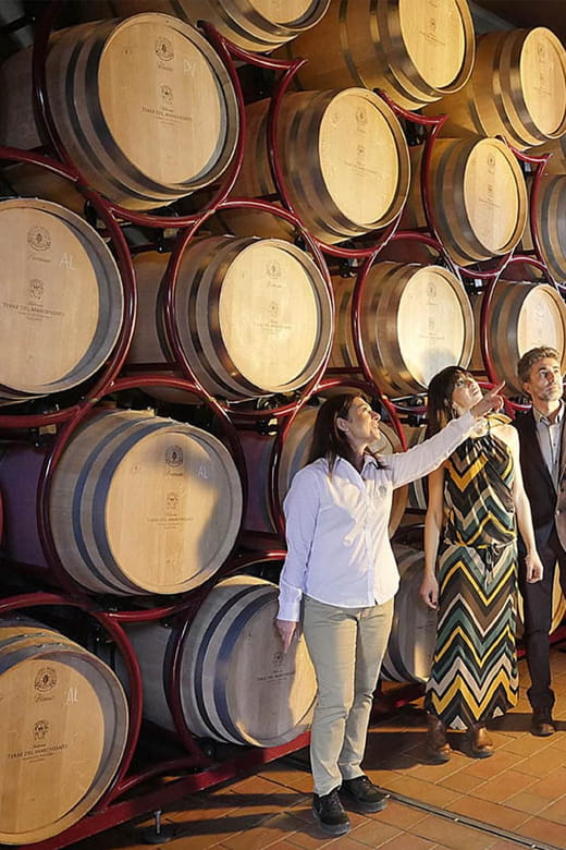 BOLGHERI: Vertical Wine-tasting at Terre del Marchesato - Exploring the Experience: A Closer Look at Each Step