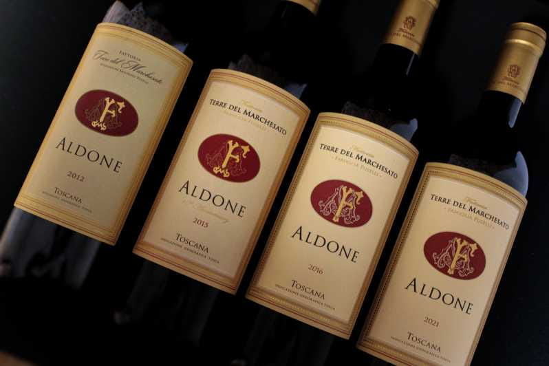 BOLGHERI: Vertical Wine-tasting at Terre del Marchesato - Who Should Consider This Tour?