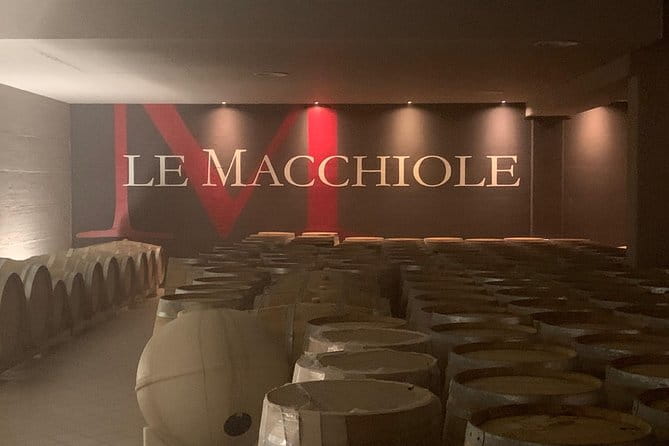 Bolgheri Wine Tour from Lucca - Key points / Takeaways