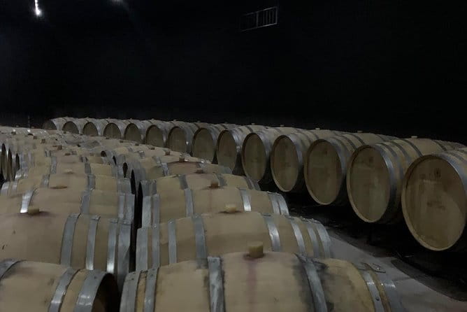 Bolgheri Wineries and Tuscany Tour - Final Thoughts