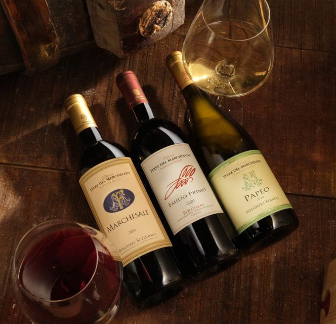 Bolgheri: Winery Tour with Wine Tasting - Who Will Love This Tour?