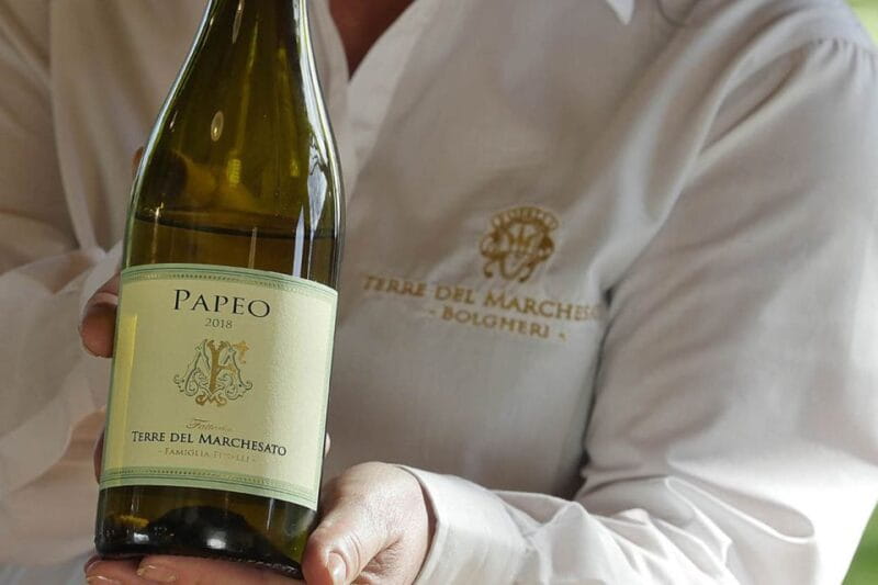 Bolgheri: Winery Tour with Wine Tasting - Final Thoughts