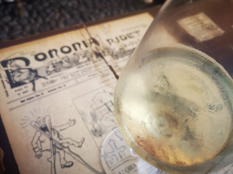 Bologna: City Center Guided Wine Walking Tour - What You’ll Taste and Experience