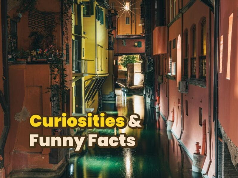 Bologna: Digital Guide made by a Local for your walking tour - Who Should Consider This Experience?