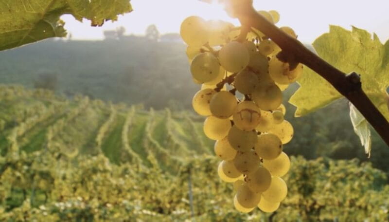 Bologna: E-Bike Guided Tour with Aperitivo - Discovering Bologna’s Hidden Hills and Gardens