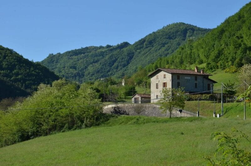 Bologna Forlì: foraging, looking for wild edible herbs - Key points / Takeaways