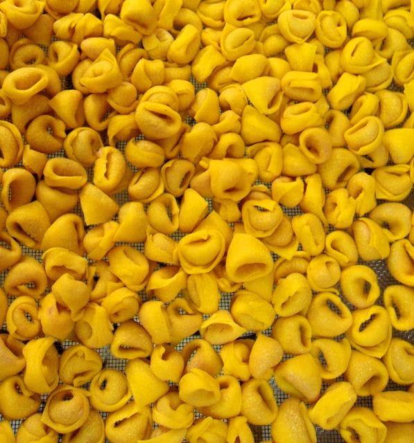 Bologna: Guided Walking Tour - Who Will Enjoy This Tour?