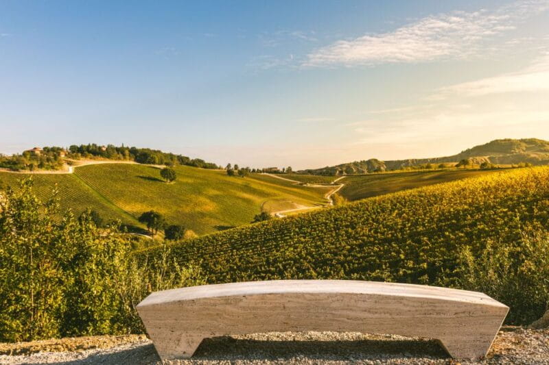 Bologna: Olive Grove and Vineyard Tour with Product Tastings - The Sum Up: A Flavorful Escape into Emilia-Romagna