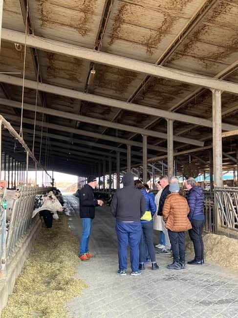 Bologna: Parmesan, Vinegar, Wine, Lunch +Transfer - Introduction: A Tasty Peek into Bologna’s Food Heritage