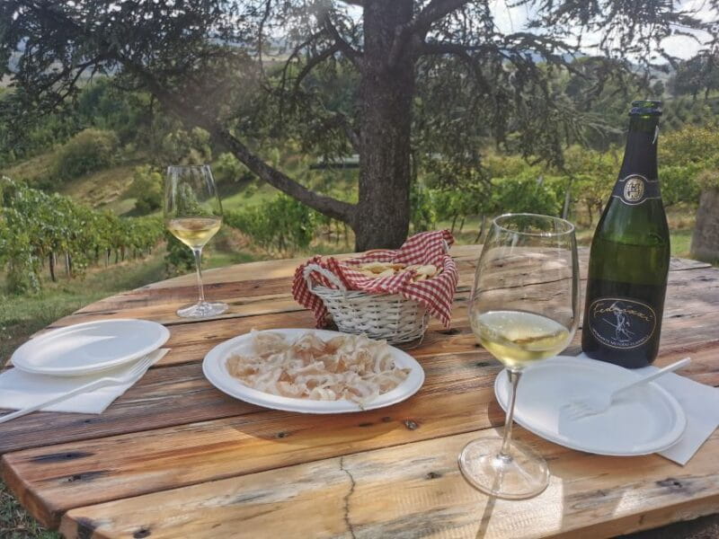 Bologna: Parmigiano, Wine and Balsamic Vinegar experience - Discover the True Flavors of Emilia Romagna: Parmigiano, Balsamic Vinegar, and Wine