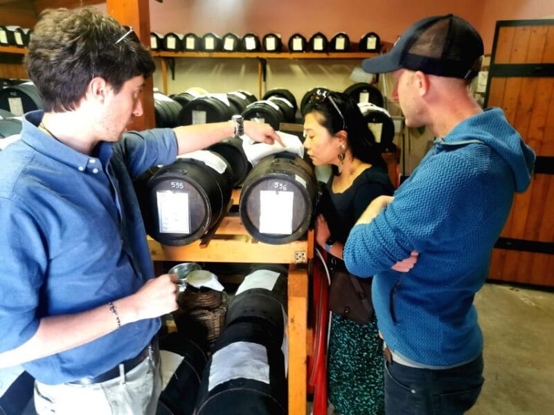 Bologna: Parmigiano, Wine and Balsamic Vinegar experience - The Perfect Introduction to Italy’s Food Capital