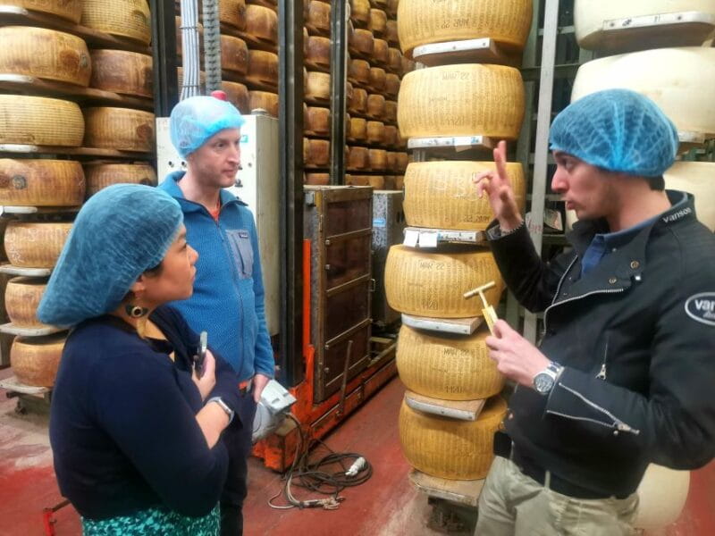 Bologna: Parmigiano, Wine and Balsamic Vinegar experience - Tasting Regional Wines and Snacks in Bologna Hills