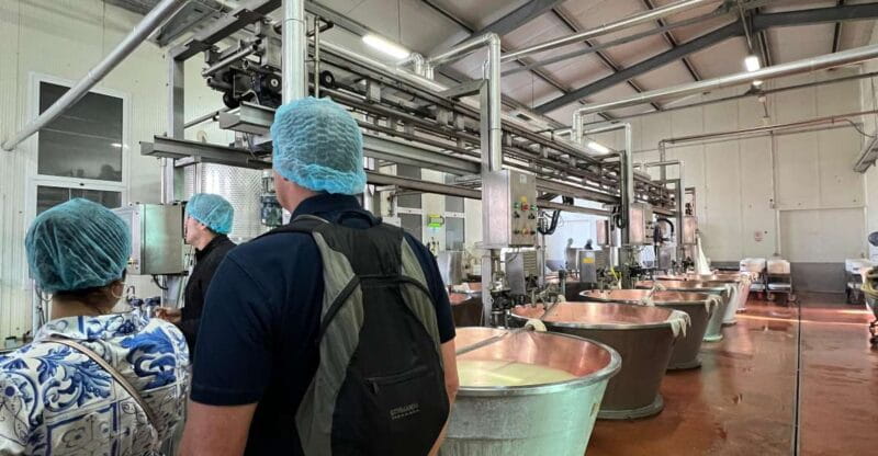 Bologna: Super Cars, Parmesan and Balsamic Tour with Lunch - Price and Value Analysis