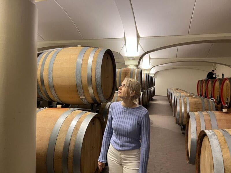 Bologna Vineyard Vista: a journey through Emilian wines - Key points / Takeaways