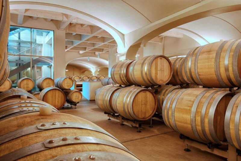 Bologna Vineyard Vista: a journey through Emilian wines - Entering a World of Authentic Emilian Wine