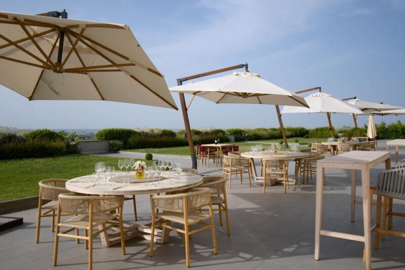 Bologna Vineyard Vista: a journey through Emilian wines - The Overall Experience and Atmosphere