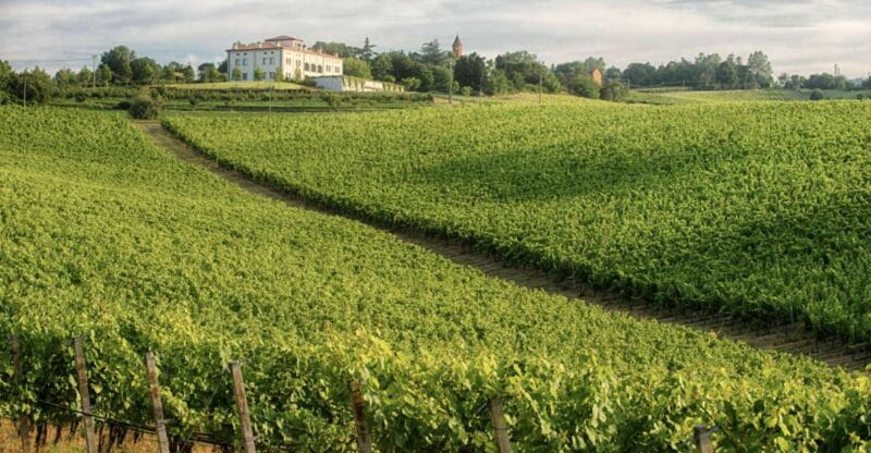 Bologna Vineyard Vista: a journey through Emilian wines - Logistics and Practical Tips