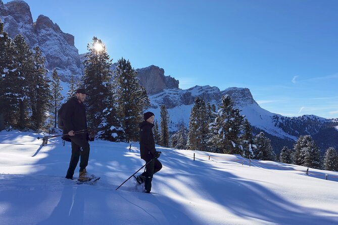 Bolzano Dolomites: Winter Hiking & Sledding Experience - Inclusions