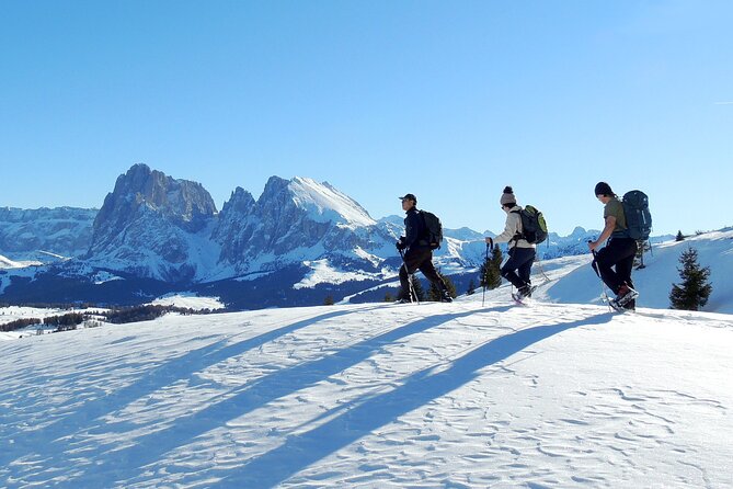 Bolzano Dolomites: Winter Hiking & Sledding Experience - Winter Wonderland