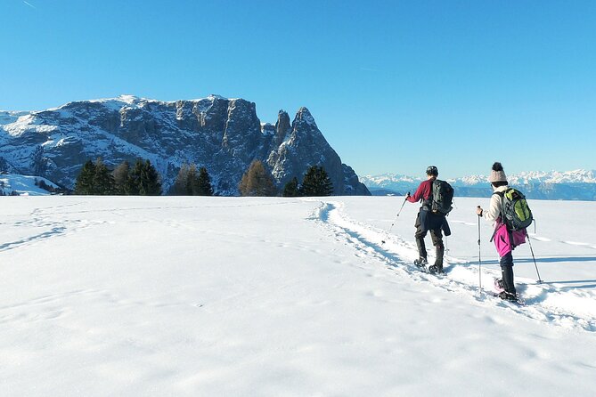 Bolzano Dolomites: Winter Hiking & Sledding Experience - Mountain Hut Lunch