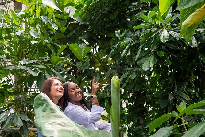 Bombay Sapphire Gin Cocktail Masterclass and Tour - Accessibility Details