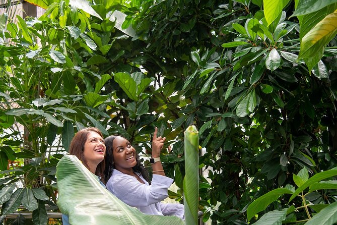 Bombay Sapphire Gin Distillery Tour and Cocktail - The Dakin Still House Experience