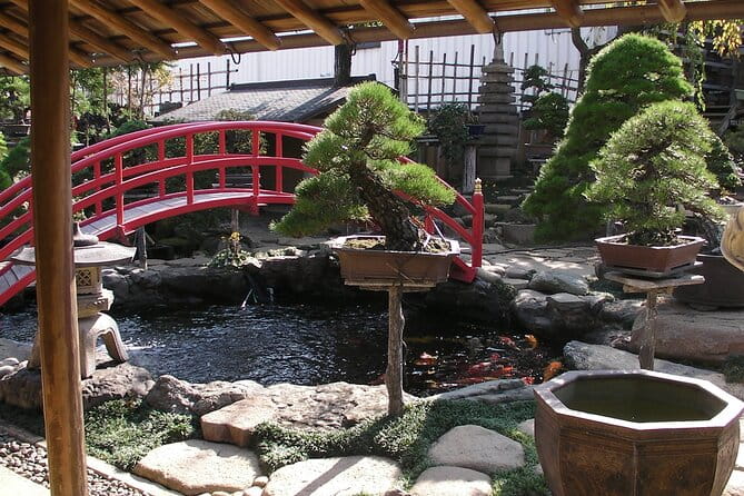 Bonsai and Washi Museum Visit in Tokyo - Transportation and Costs