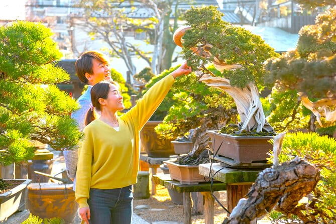 Bonsai Tour & Experience at the Most Sacred City for Bonsai in JP - Hands-on Bonsai Shaping and Pruning