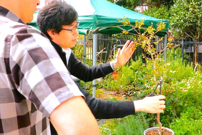 Bonsai Tour & Experience at the Most Sacred City for Bonsai in JP - Visiting the Outdoor Bonsai Garden