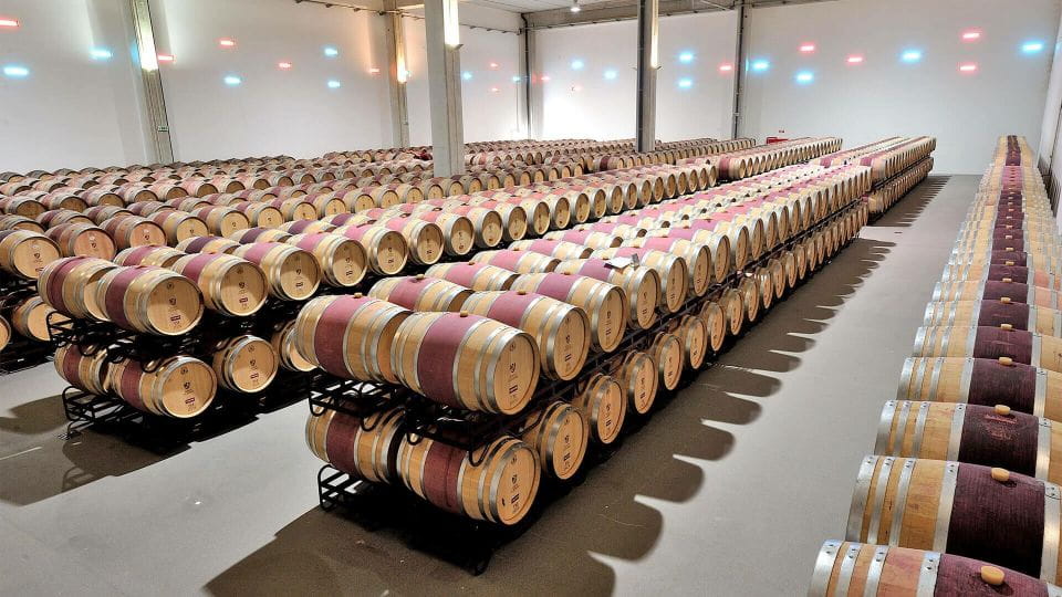 Borba: Winery Tours and Amphora Wine Tasting - Cooperative Winery Showcase