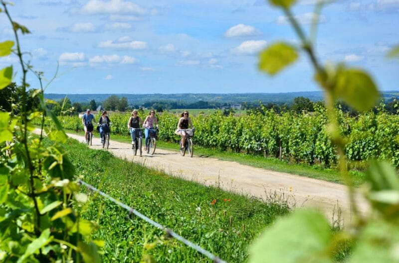Bordeaux Backcountry E-Bike Tour with Lunch & Wine Tasting - Following the Historic Roger Lapébie Cycle Path