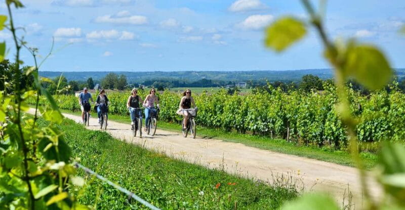 Bordeaux Backcountry E-Bike Tour with Lunch & Wine Tasting - Returning to Bordeaux