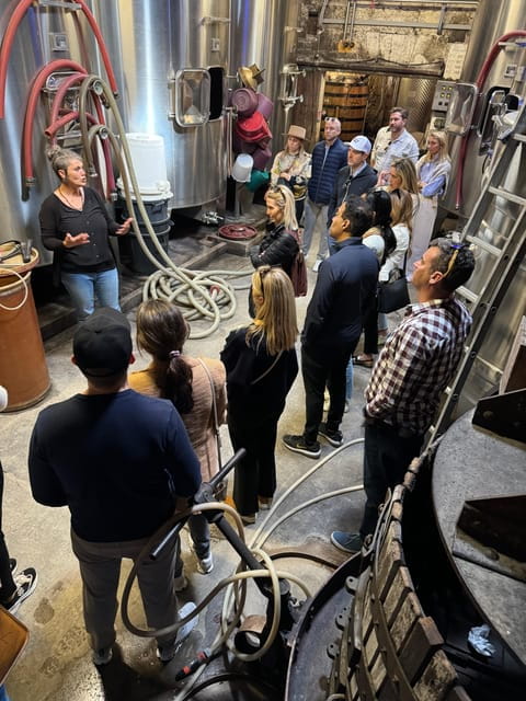 Bordeaux Backcountry E-Bike Tour with Lunch & Wine Tasting - Who is This Tour Best For?