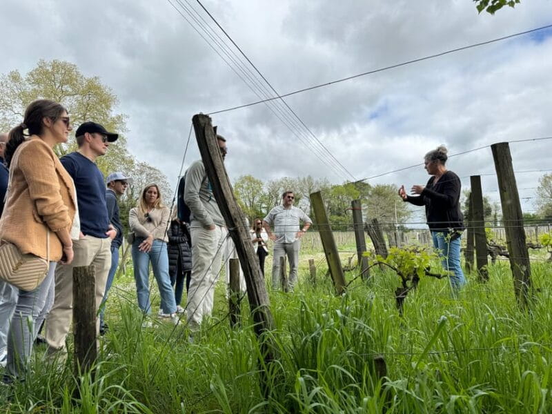Bordeaux Backcountry E-Bike Tour with Lunch & Wine Tasting - FAQ