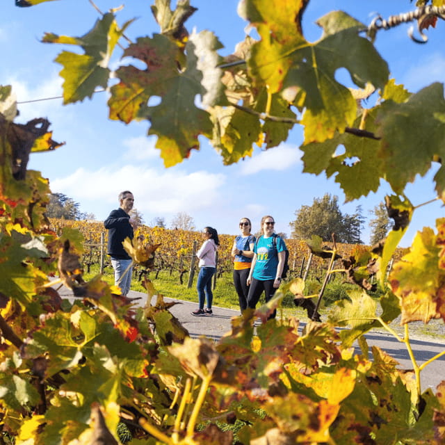 Bordeaux by Gravel Bike : Historic center & vineyards - Exploring Bordeaux by Gravel Bike: An In-Depth Look